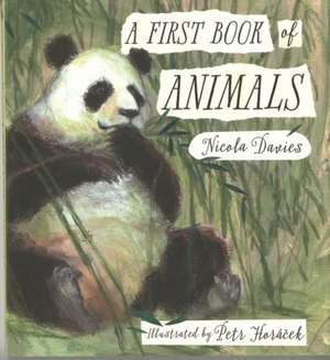 A First Book of Animals de Nicola Davies