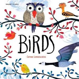 Birds de Carme Lemniscates