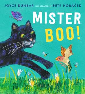 Mister Boo! de Joyce Dunbar