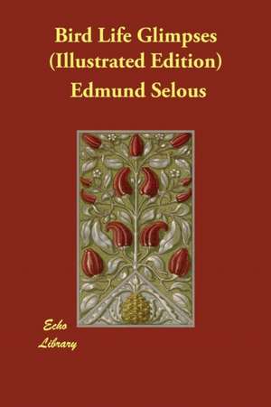 Bird Life Glimpses (Illustrated Edition) de Edmund Selous