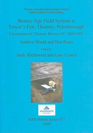 Bronze Age Field System at Tower's Fen, Thorney, Peterborough: Excavations at 'Thorney Borrow Pit' 2004-2005 de Andrew Mudd