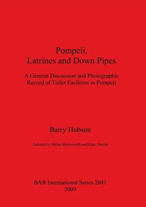 Pompeii, Latrines and Down Pipes de Barry Hobson