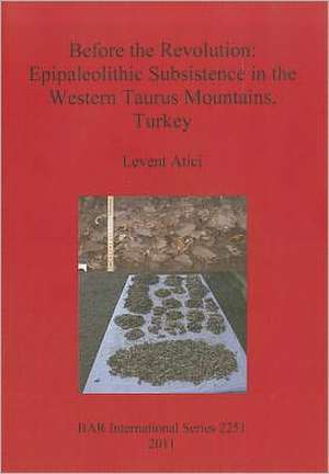 Before the Revolution: Epipaleolithic Subsistence in the Western Taurus Mountains, Turkey de Levent Atici