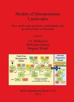 Models of Mesopotamian Landscapes: How Small-Scale Processes Contributed to the Growth of Early Civilizations de T. J. Wilkinson