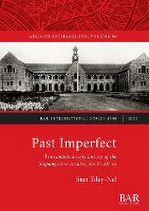 Past Imperfect de Sian Tiley-Nel