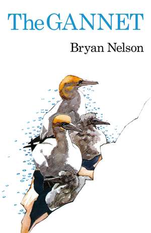 The Gannet de BRYAN NELSON