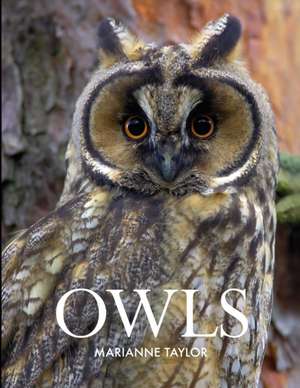 Owls de Marianne Taylor