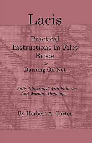 Lacis - Practical Instructions in Filet Brode - Or Darning on Net - Fully Illustrated with Patterns and Working Drawings de Carita