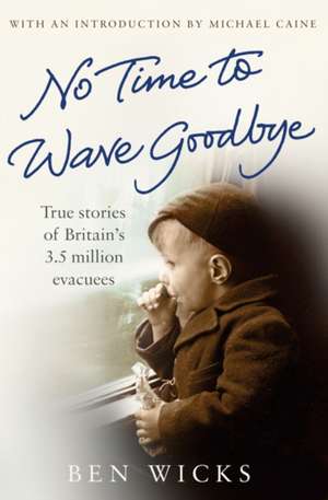 No time to wave goodbye de Ben Wicks