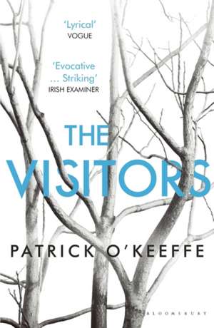 The Visitors de Patrick O'Keeffe