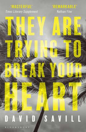 They are Trying to Break Your Heart de David Savill