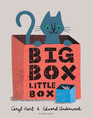 Big Box Little Box de Caryl Hart