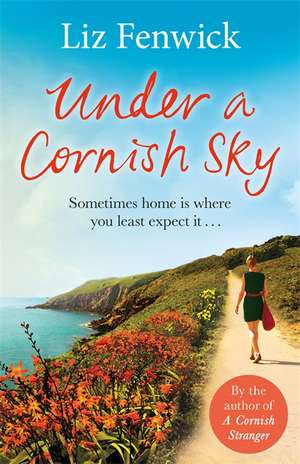 Under a Cornish Sky de Liz Fenwick