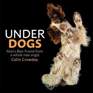 Underdogs de Colin Crowdey