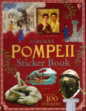 Pompeii Sticker Book de Struan Reid