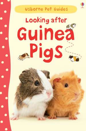 Looking after Guinea Pigs de Laura Howell