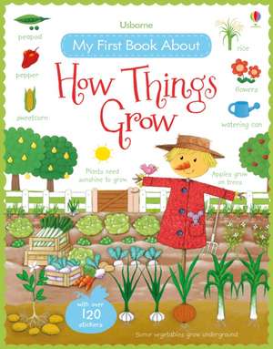 My First Book About How Things Grow de Felicity Brooks