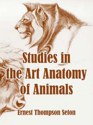 Studies in the Art Anatomy of Animals de Ernest Thompson Seton