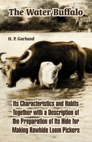 The Water Buffalo: Its Characteristics and Habits Together with a Description of the Preparation of Its Hide for Making Rawhide Loom Pick de H. P. Garland