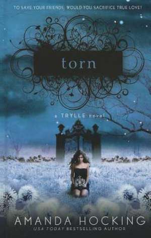 Torn de Amanda Hocking