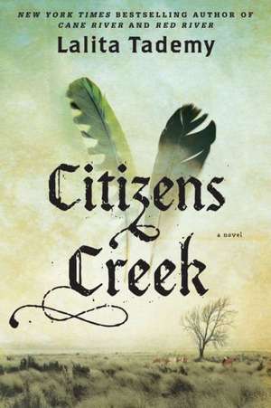 Citizens Creek de Lalita Tademy