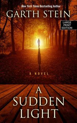 A Sudden Light de Garth Stein