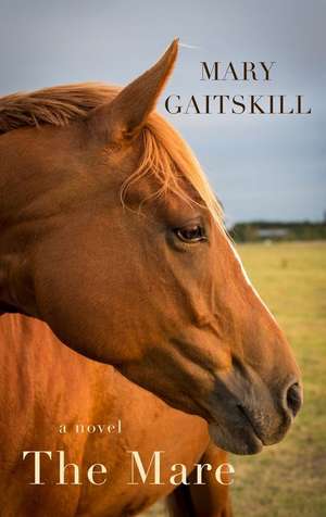 The Mare de Mary Gaitskill