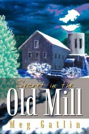 Secret in the Old Mill de Meg Gatlin