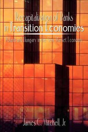 Recapitalization of Banks in Transition Economies de James C. Mitchell Jr