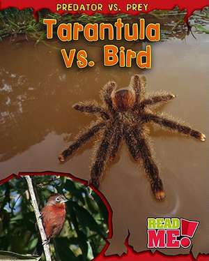 Tarantula vs. Bird de Mary Meinking