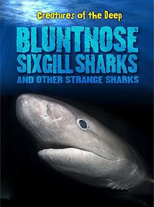 Bluntnose Sixgill Sharks and Other Strange Sharks de Rachel Lynette