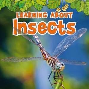 Learning about Insects de Catherine Veitch