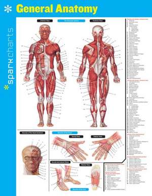 General Anatomy Sparkcharts de Sparknotes