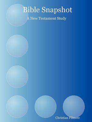 Bible Snapshot: A New Testament Study de Christian Filmore