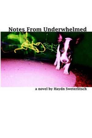 Notes From Underwhelmed de Haydn Sweterlitsch