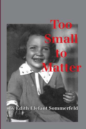 Too Small to Matter de Edith Elefant Sommerfeld