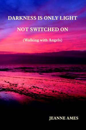 Darkness Is Only Light Not Switched on (Walking with Angels) de Jeanne Ames