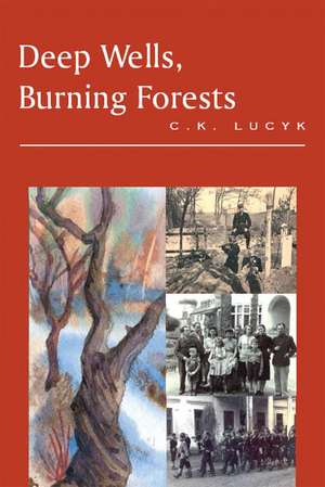 Deep Wells, Burning Forests de C. K. Lucyk