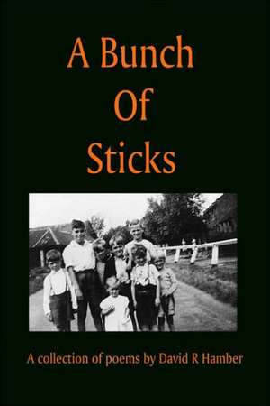 A Bunch of Sticks de David R. Hamber