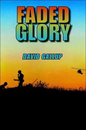 Faded Glory de David Gallup