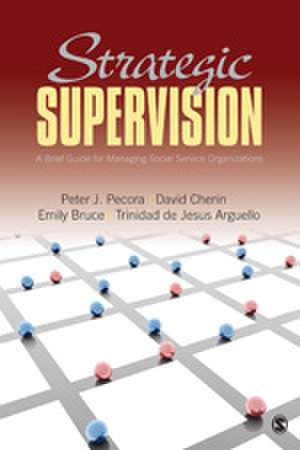 Strategic Supervision: A Brief Guide for Managing Social Service Organizations de Peter J. Pecora