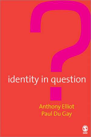 Identity in Question de Anthony Elliott