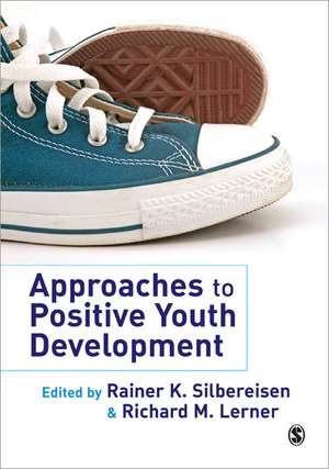 Approaches to Positive Youth Development de Rainer K. Silbereisen