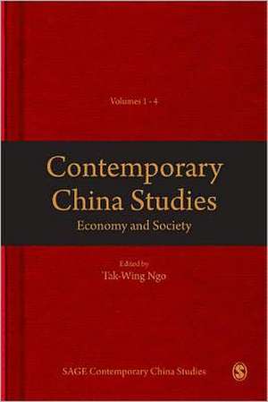 Contemporary China Studies 2: Economy & Society de Tak-Wing Ngo