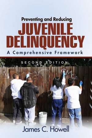 Preventing and Reducing Juvenile Delinquency: A Comprehensive Framework de James C. Howell