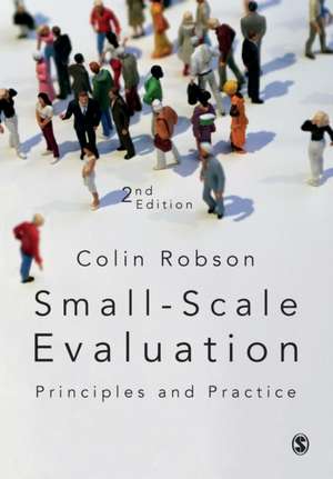 Small-Scale Evaluation: Principles and Practice de Colin Robson