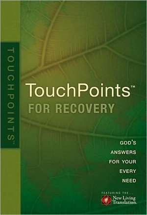 Touchpoints for Recovery de Ronald A. Beers