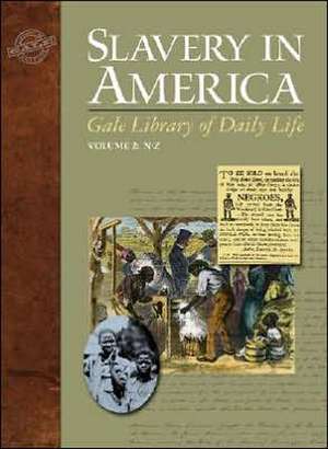 Slavery in America de Orville Vernon Burton