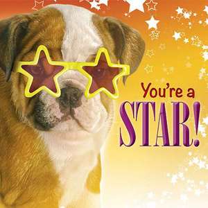 You're a Star! de Struik Inspirational Gifts