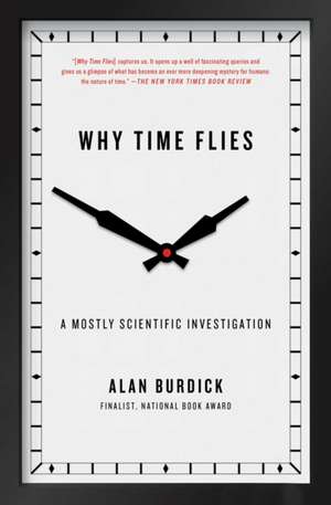 Why Time Flies de Alan Burdick